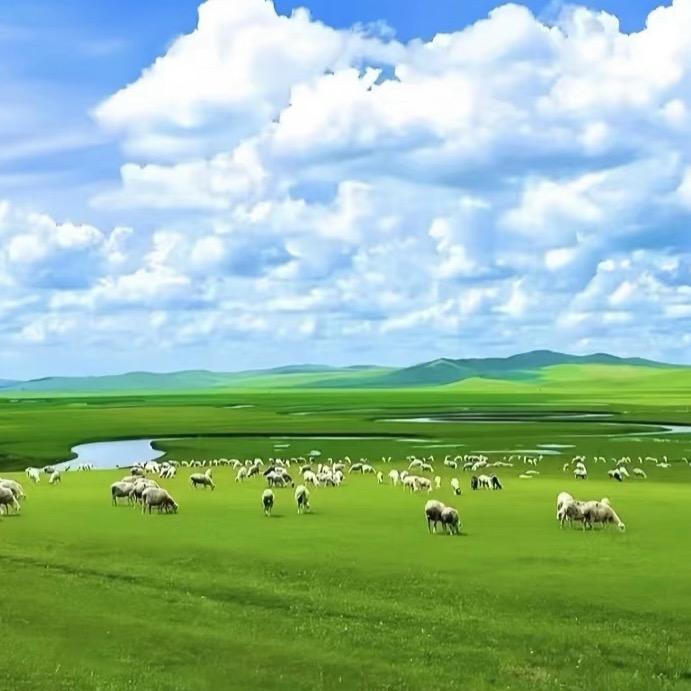 内蒙甄选美食 🐮