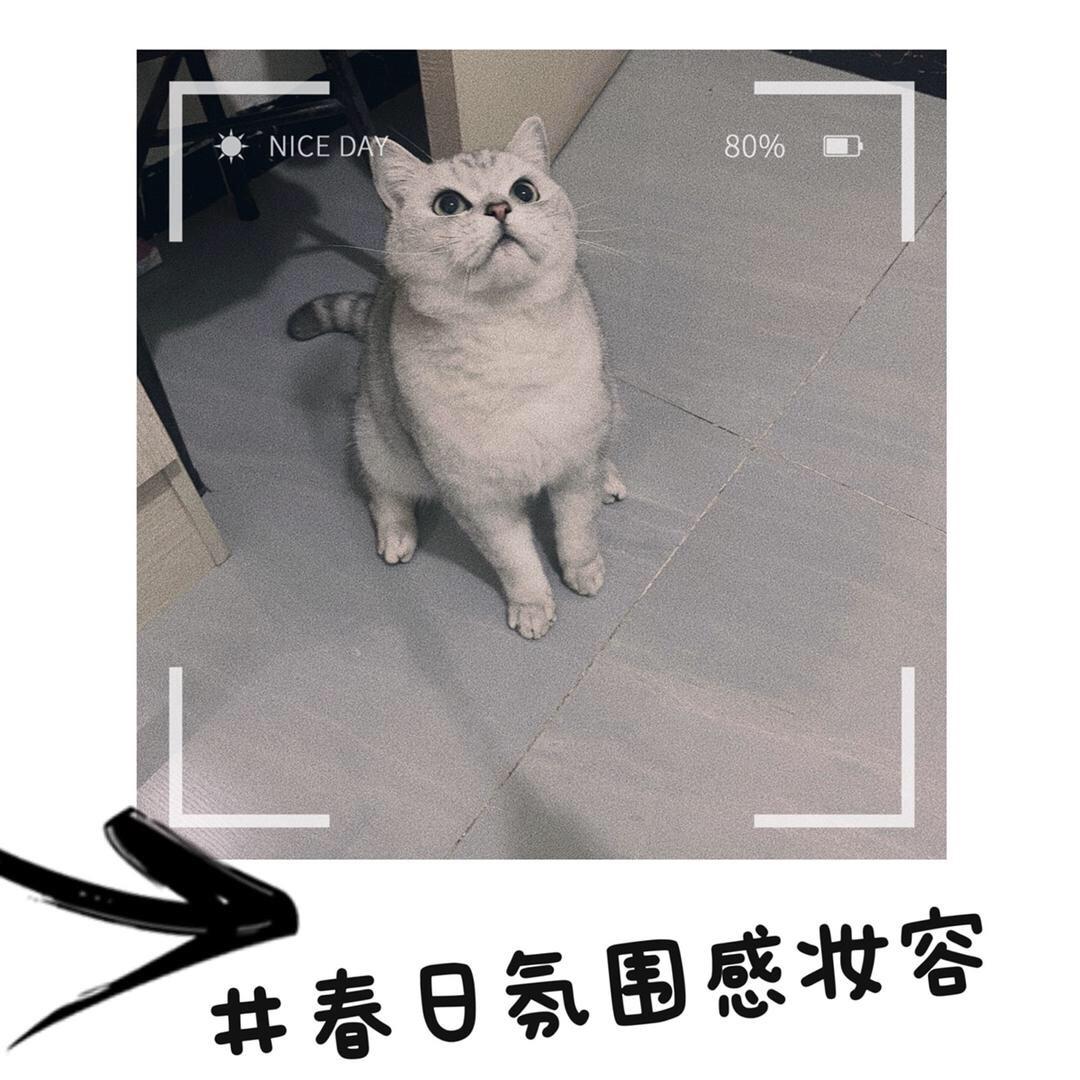 尼莫乖乖