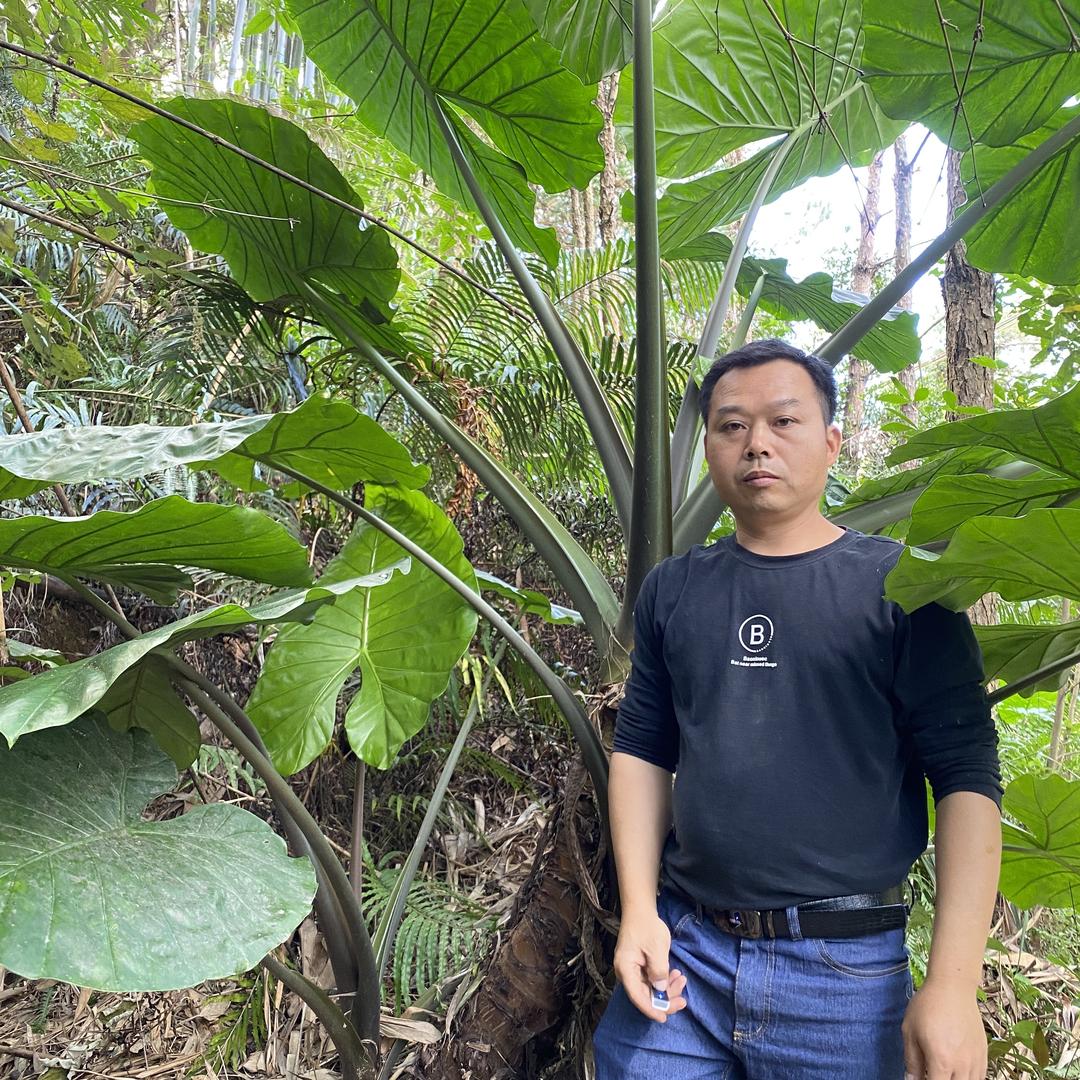 【乐尔鲜】三农华哥