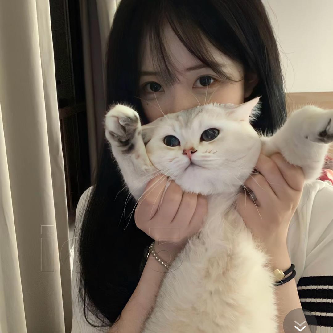 千金藤