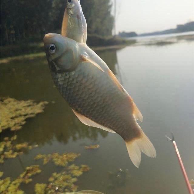 诺银佩户外可云