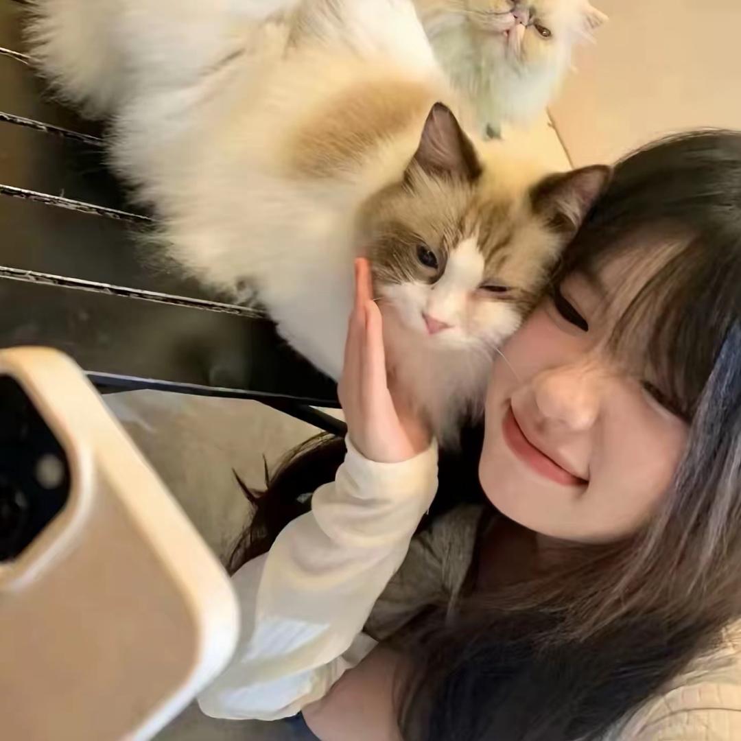 困的晕ᶠᵘᶠᵘ