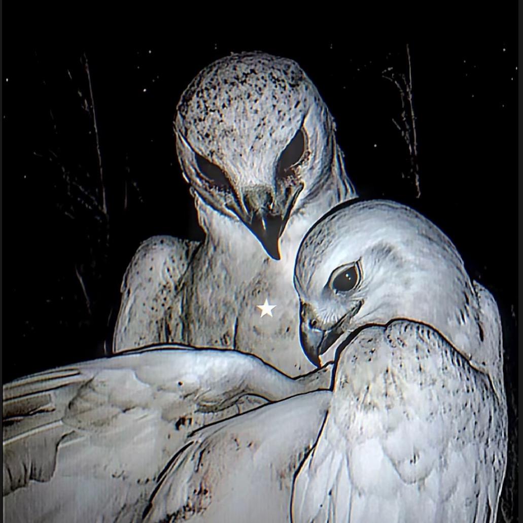 白菜˃̵͈̑ᴗ˂ಣ