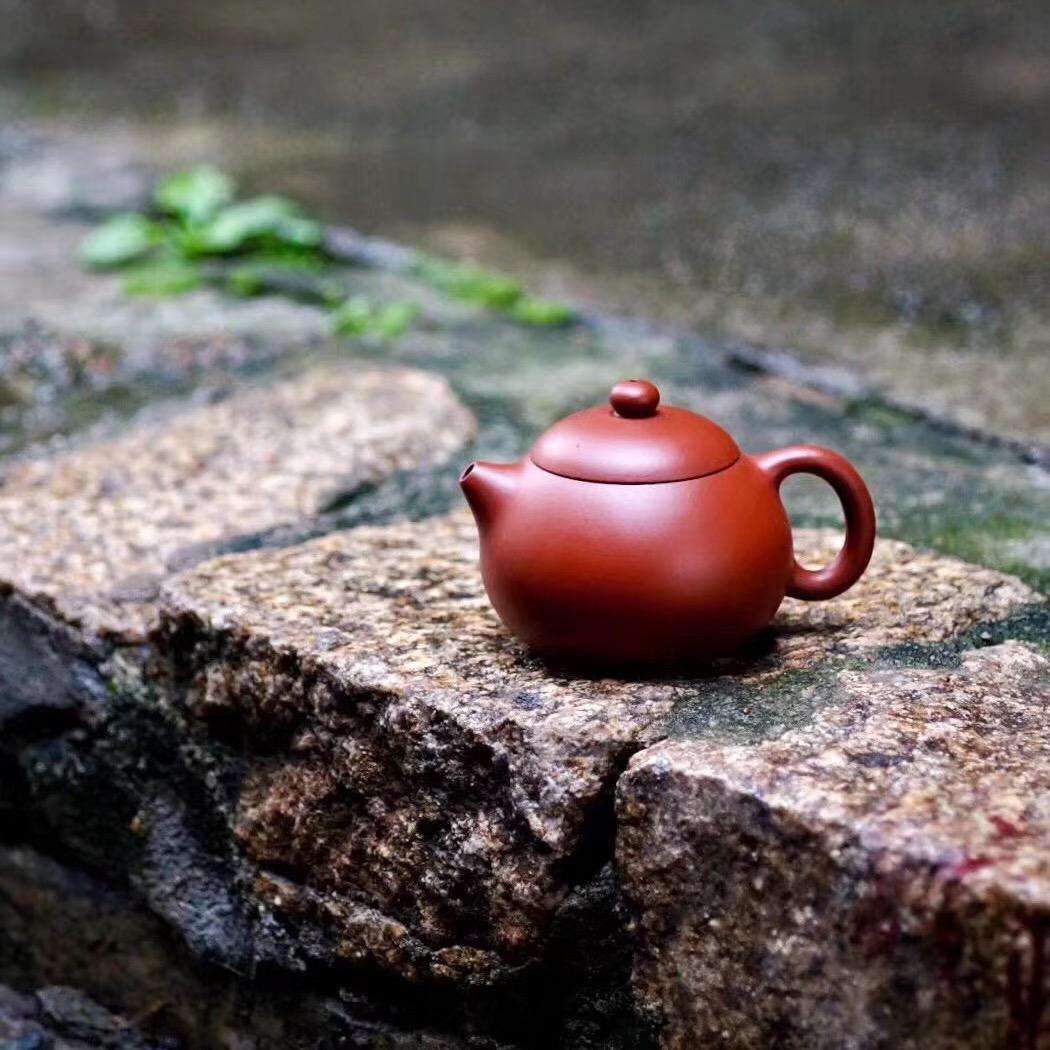 小隐紫砂