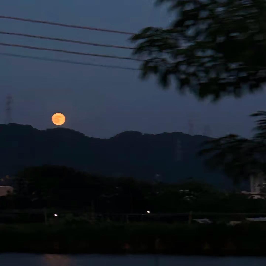 陸小胖头像