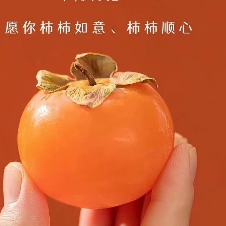 情缘之说
