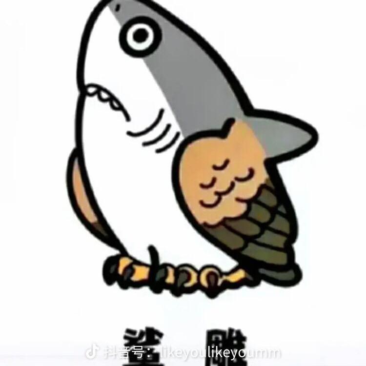 炸毛超超