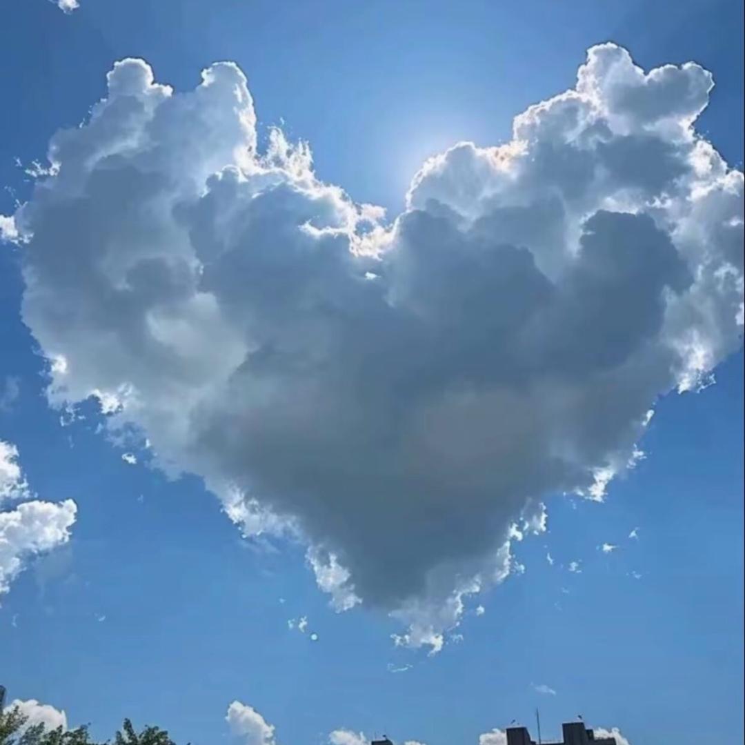 林选户外