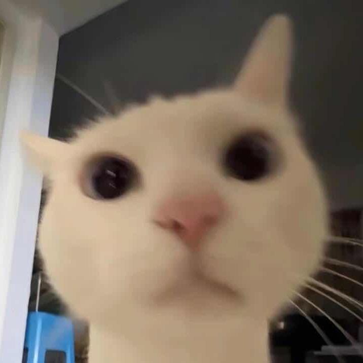 yi