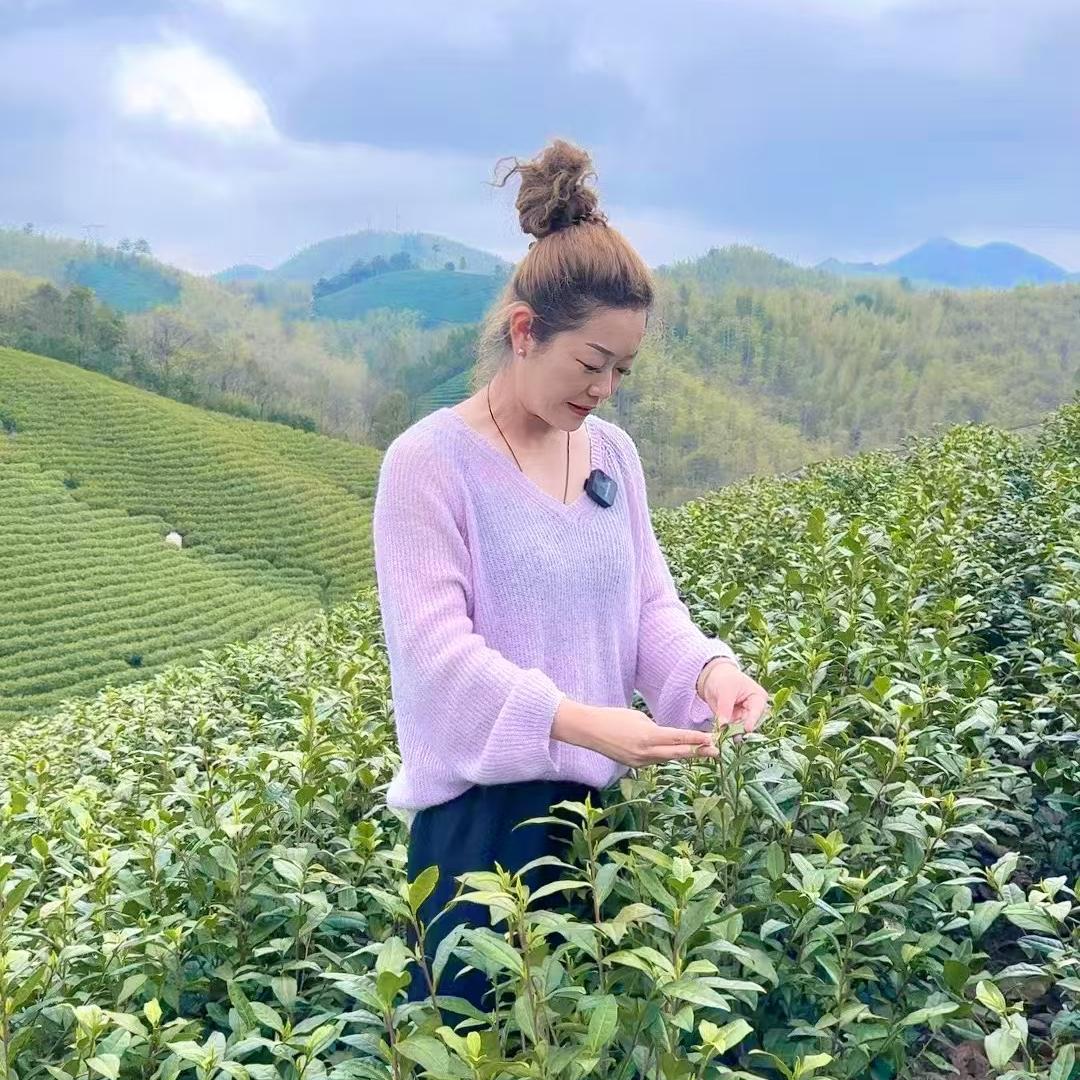 安吉华绿茶场
