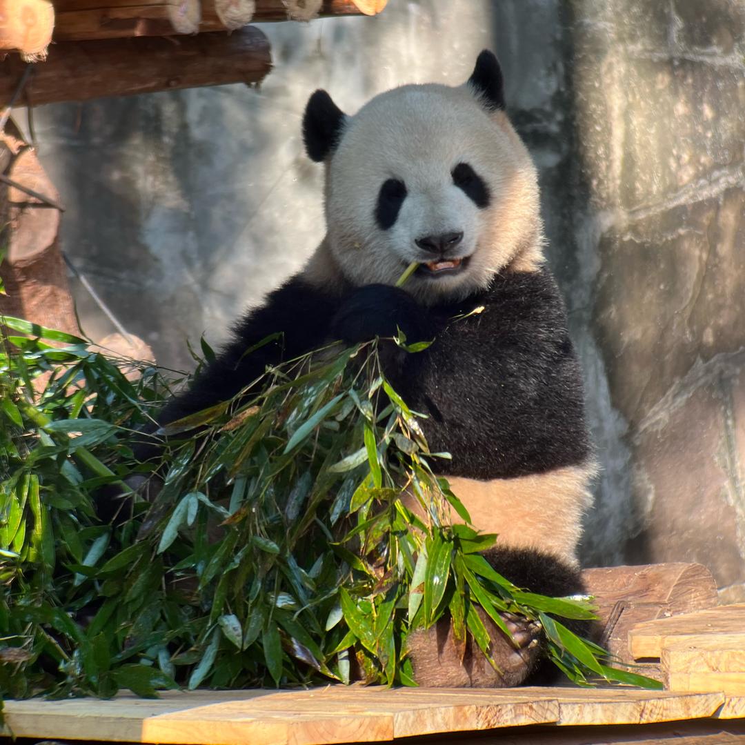 爱美丽