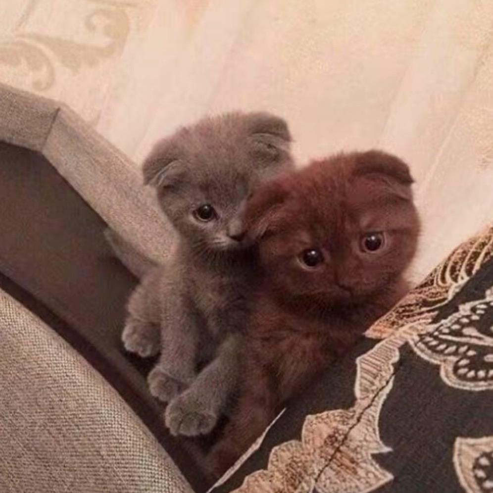 结完扎遇见真爱