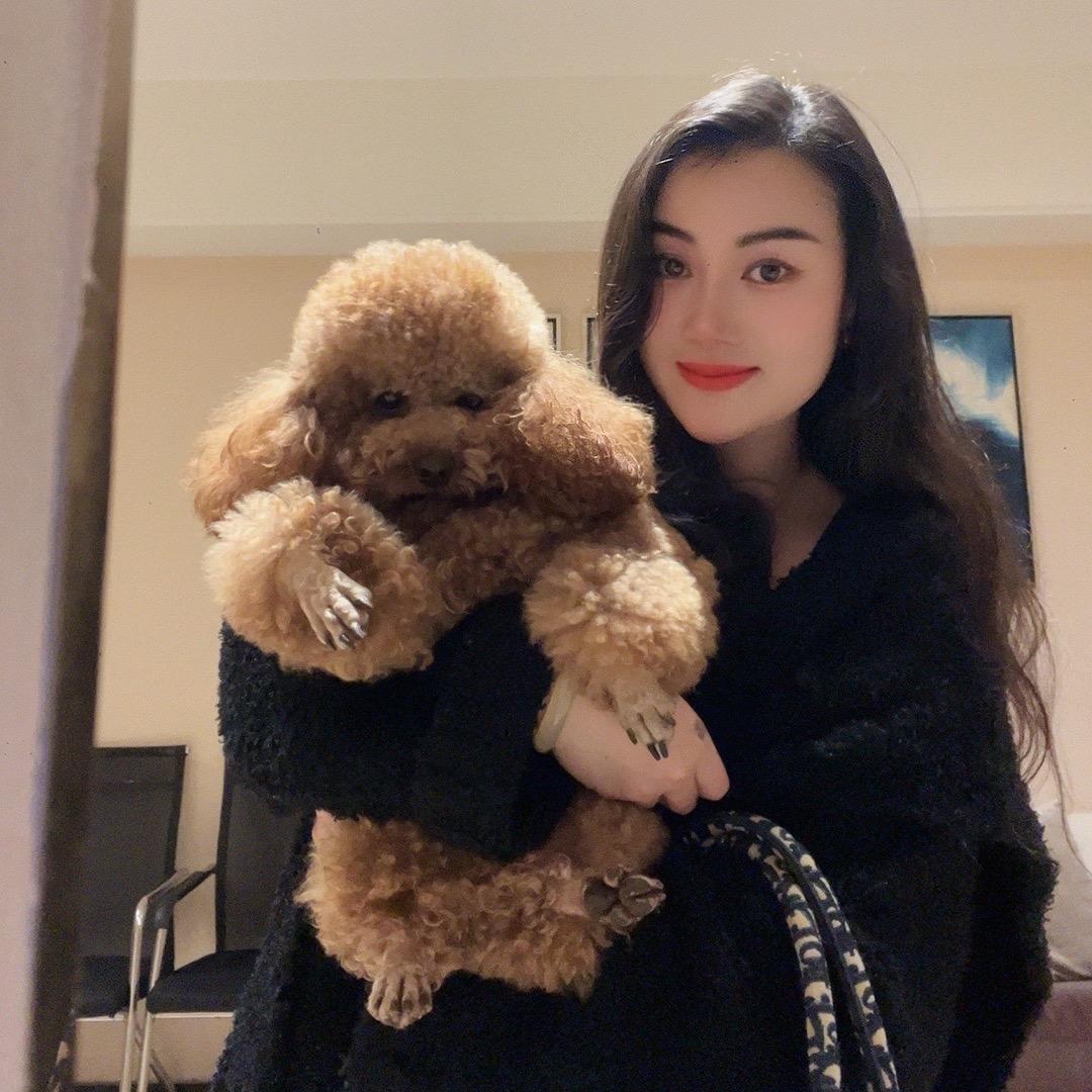 丽