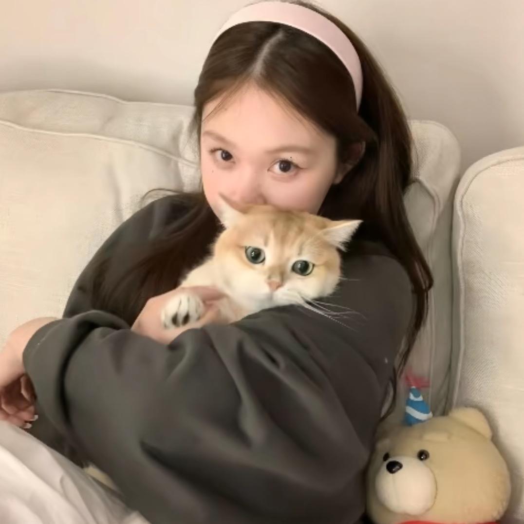 房东的猫.