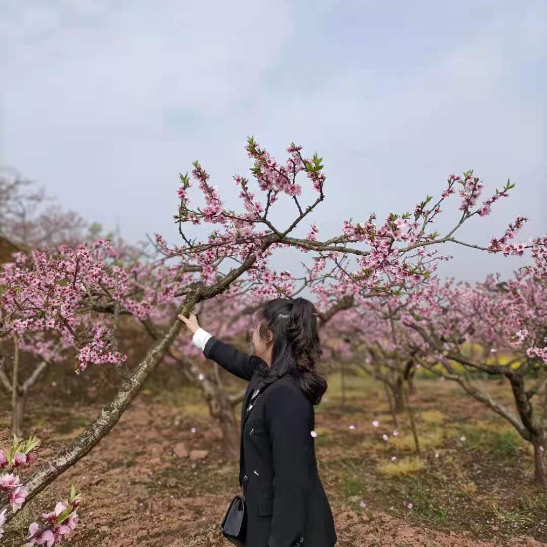 丁丁
