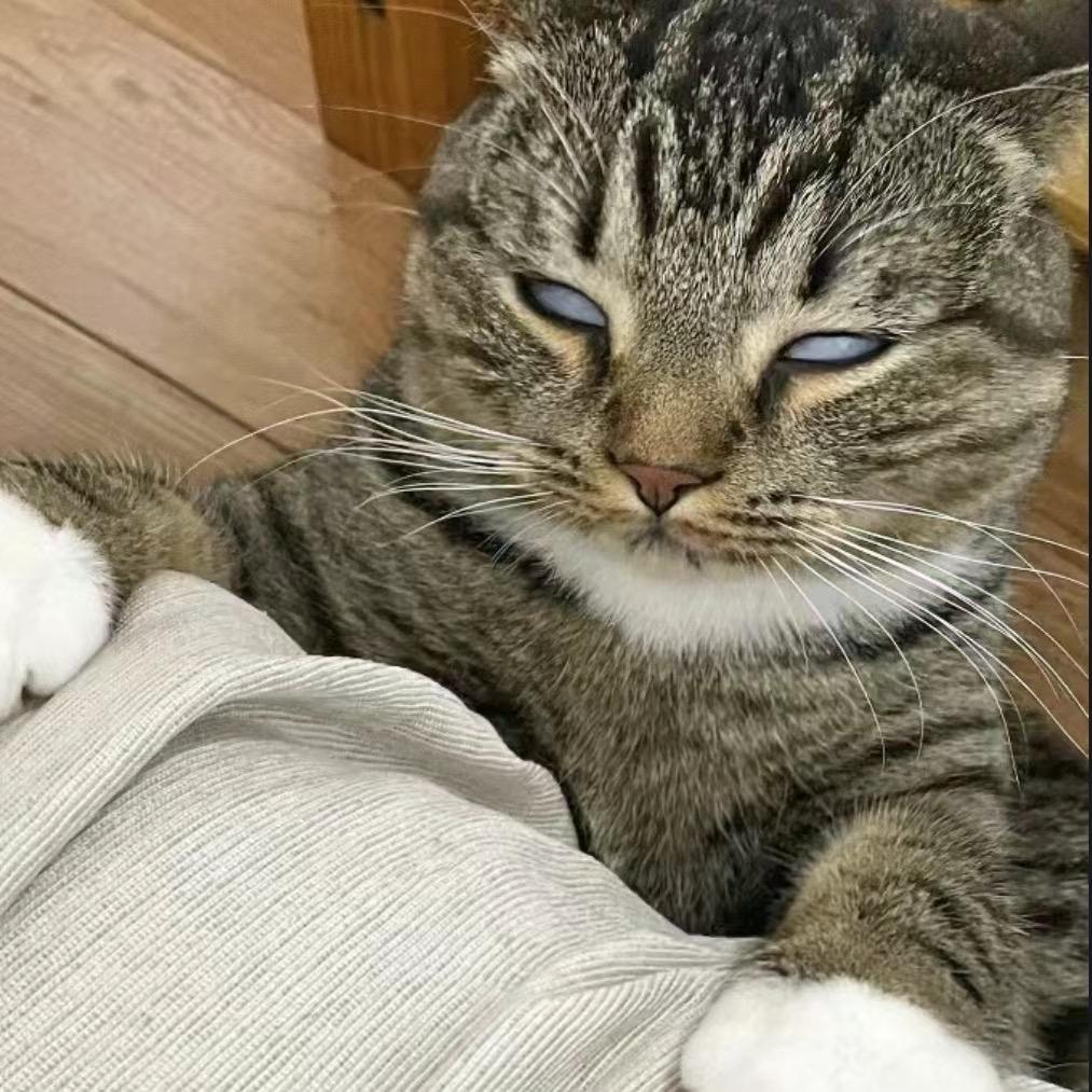 你有点讨厌了