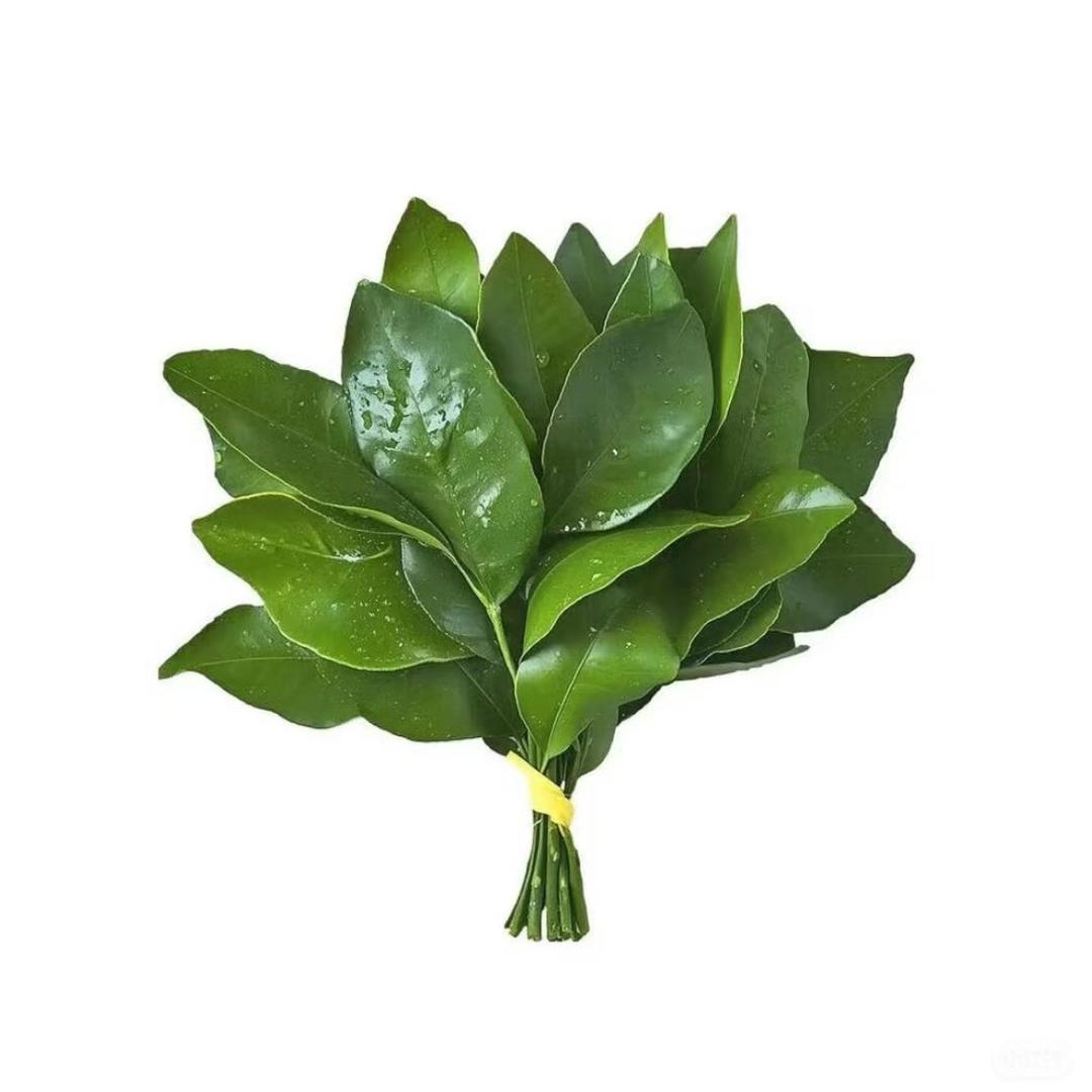 💚蘑古力⁸⁵ .𝑠𝑚🐚💜