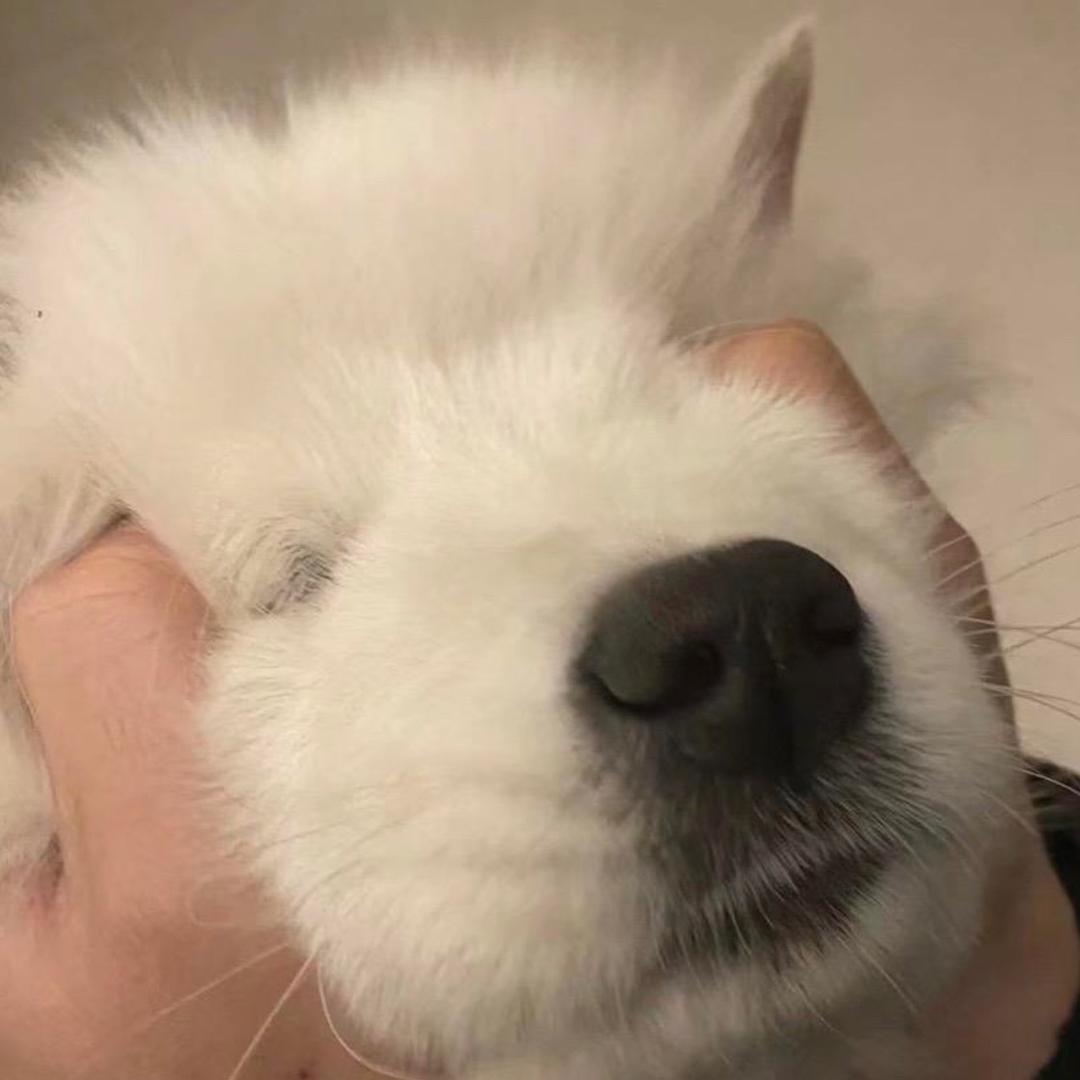 照顾好自己