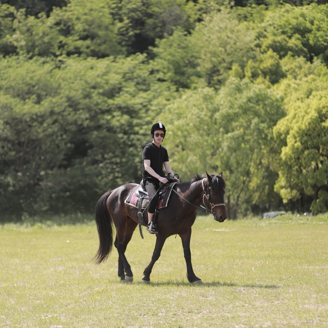 X 仙森🐎