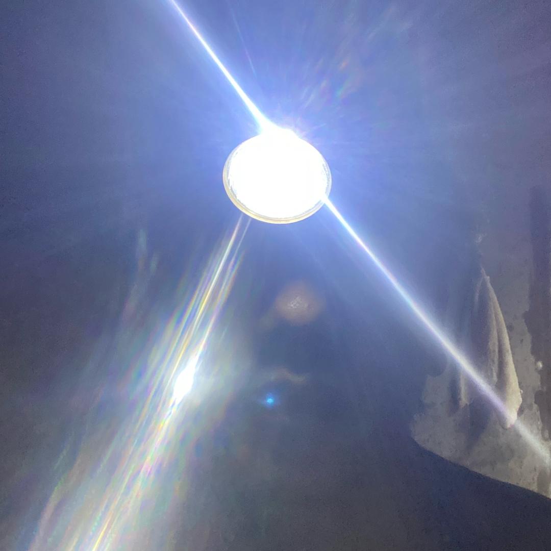 意心