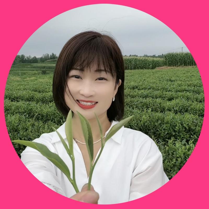 日照绿茶古城春