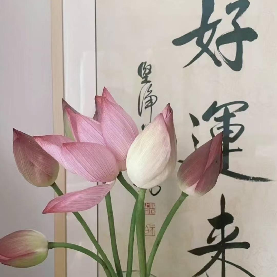 老陈聊学习方法666