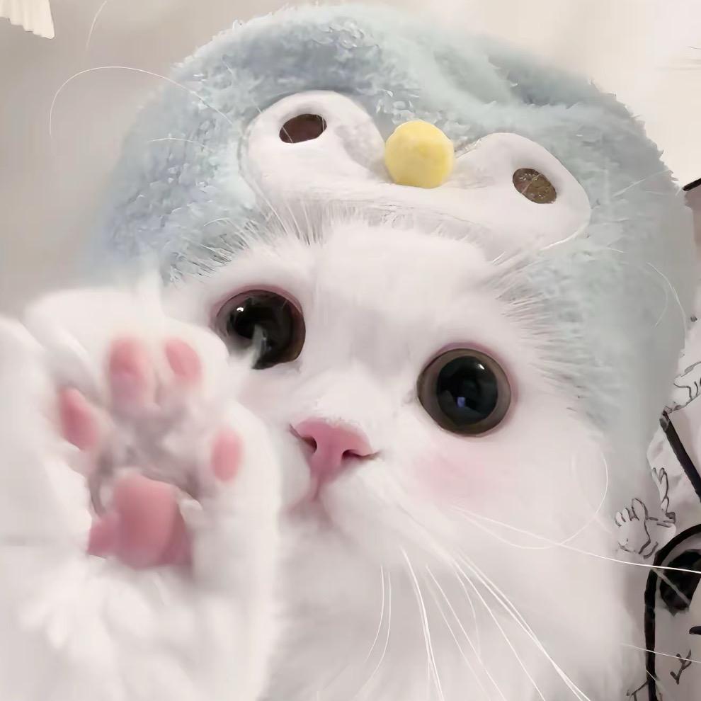 小朔宝