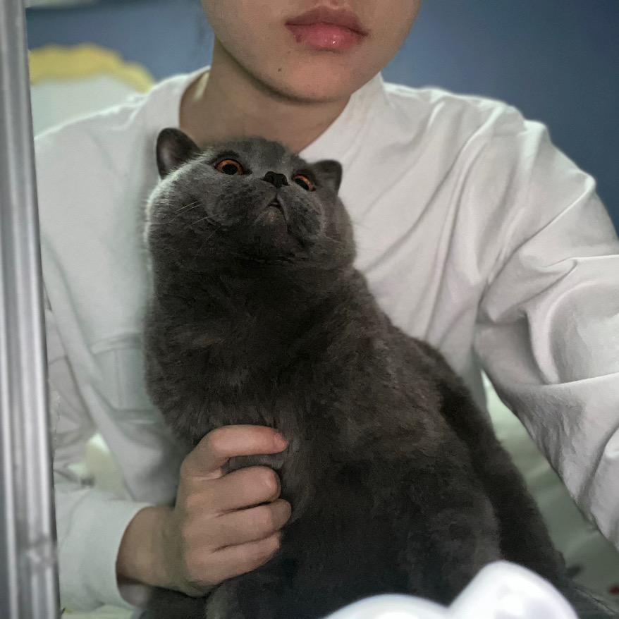 小生l