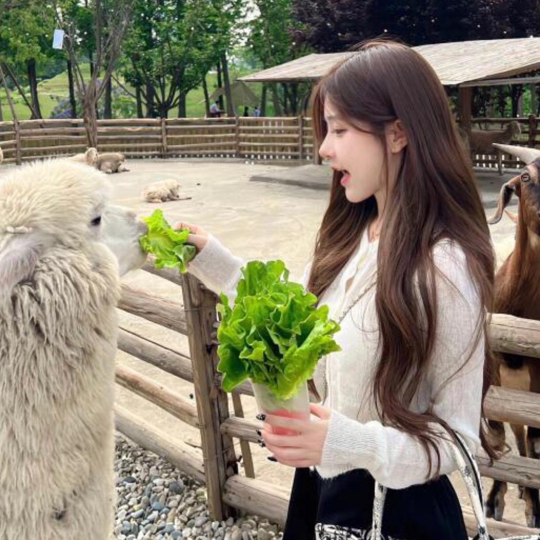 小橘子🍊（可跑腿）