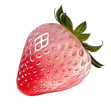 草莓🍓