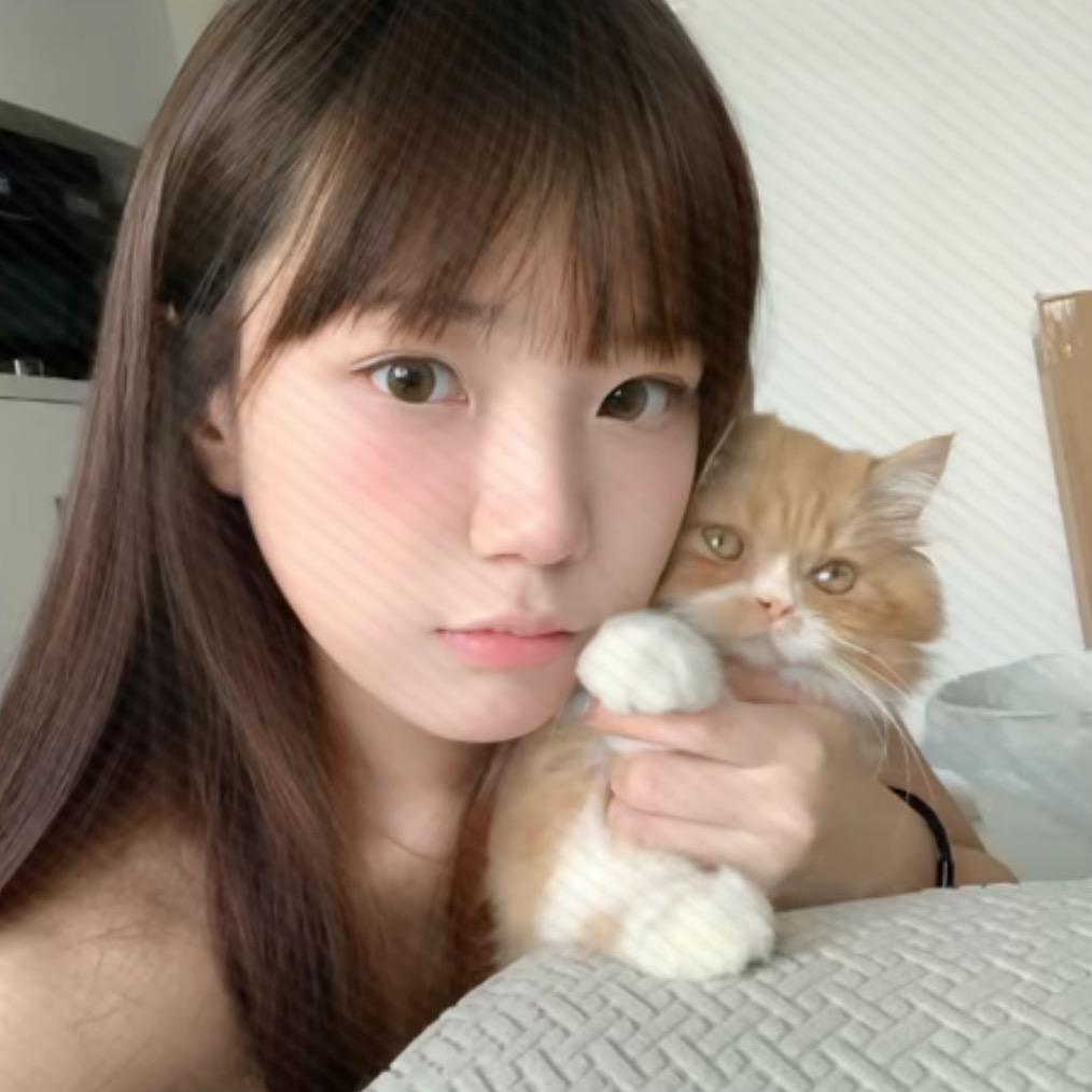 ㅤㅤㅤㅤㅤㅤㅤㅤㅤㅤㅤㅤㅤㅤㅤㅤㅤㅤㅤㅤ