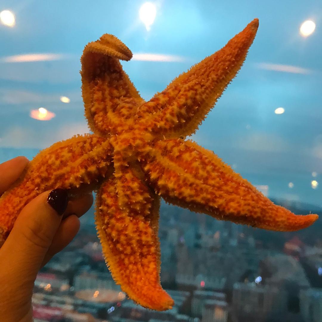 马七七