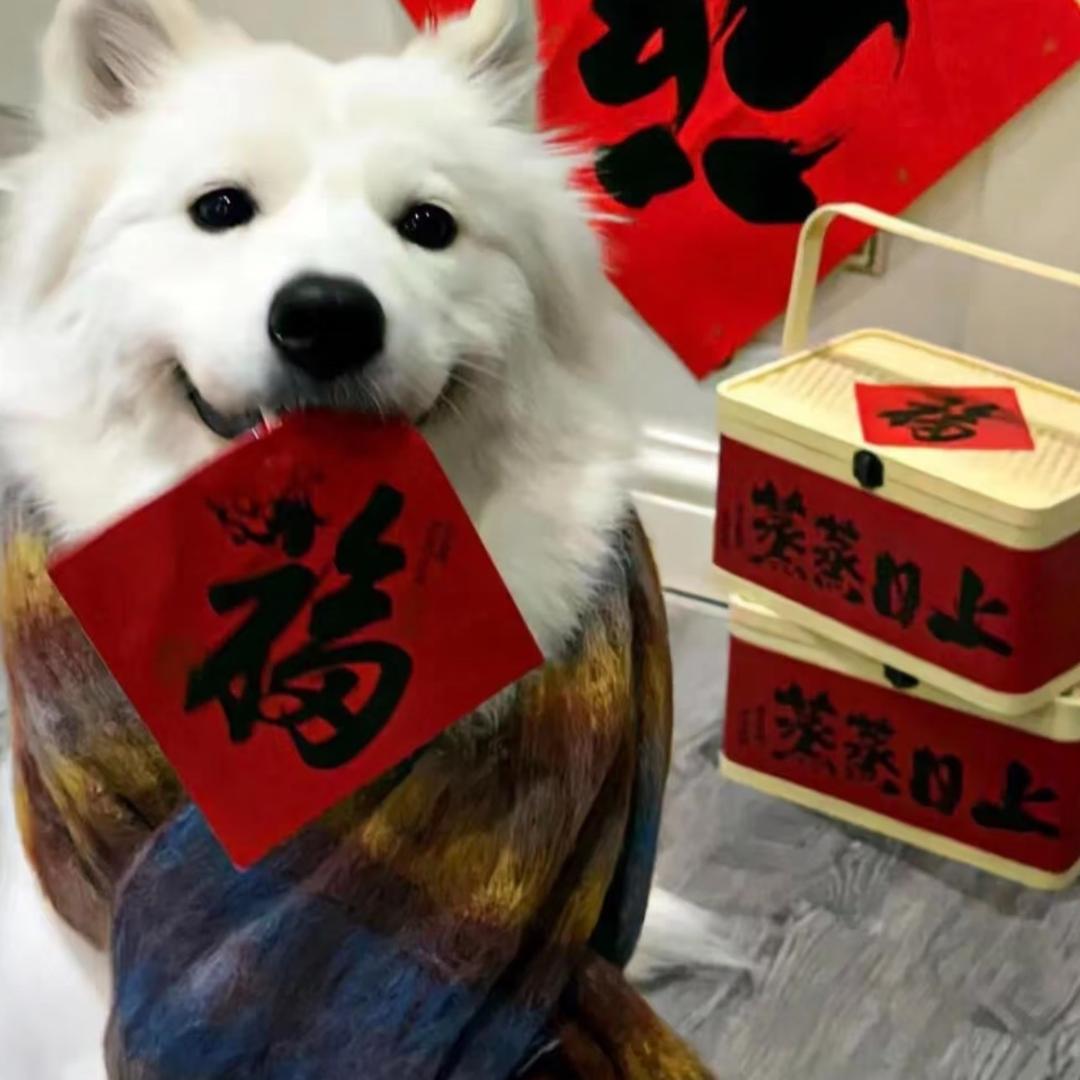 下次见rr