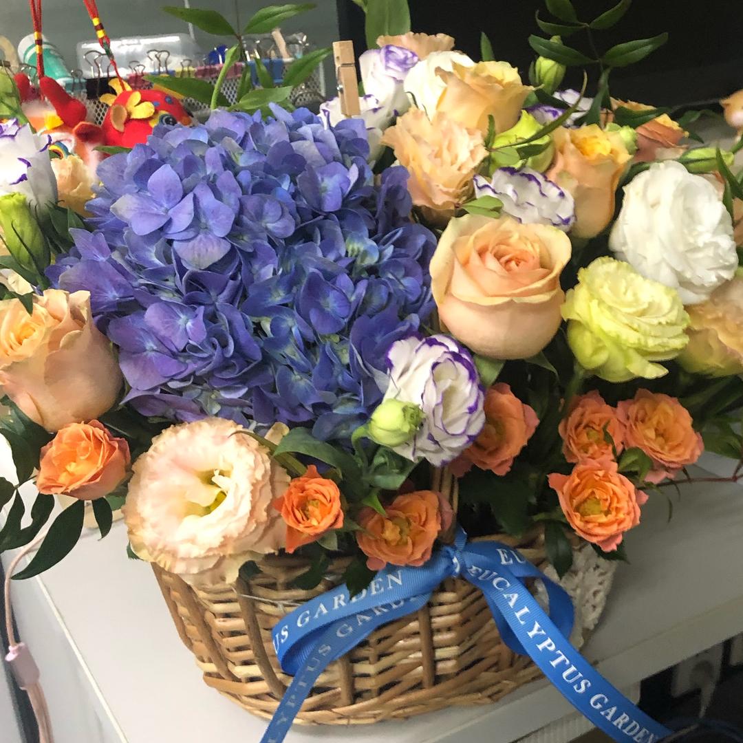 臭宝花花