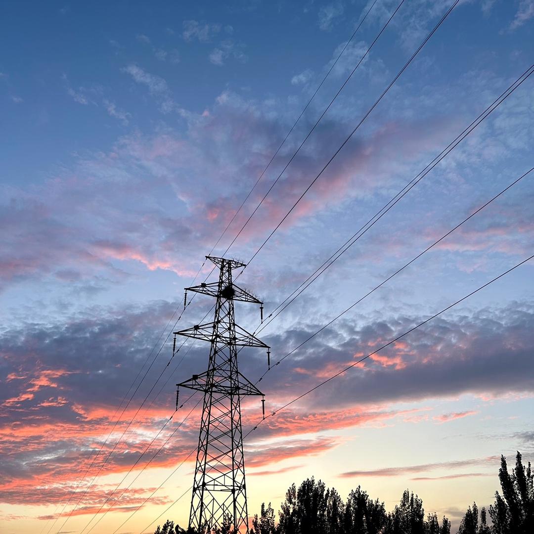 旺财是只大金毛