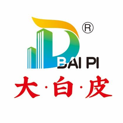 大白皮教辅试卷