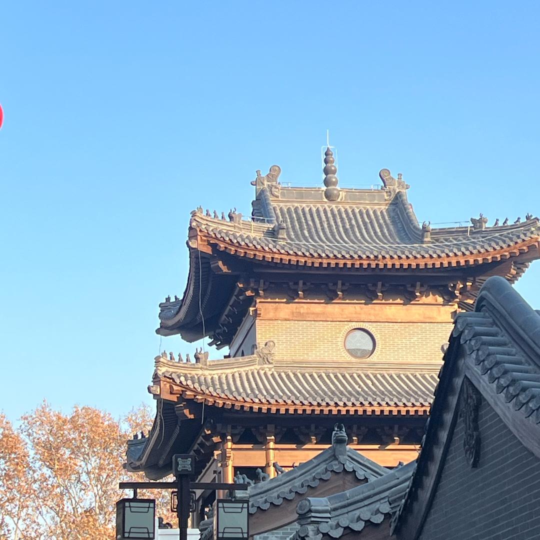 沈从心