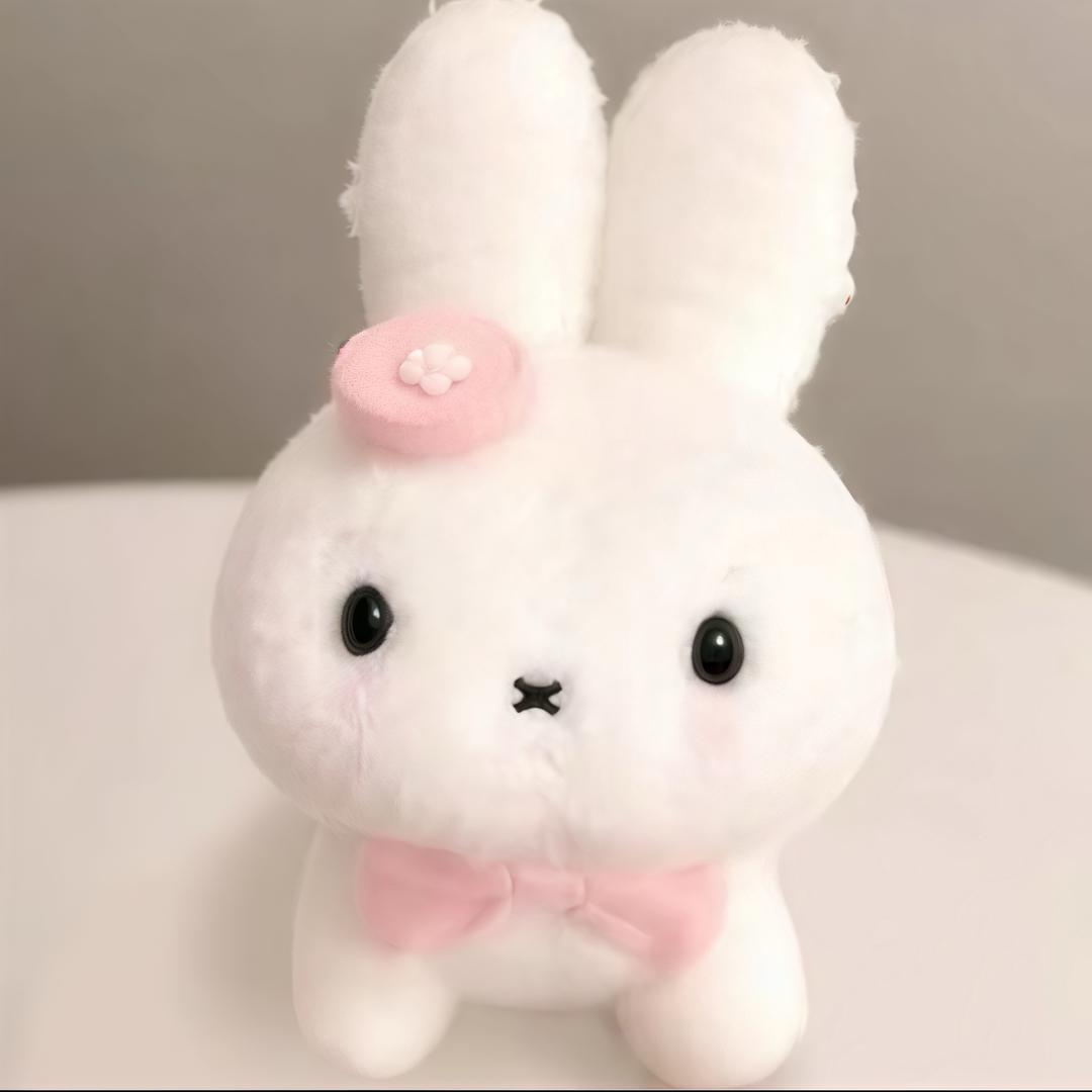 萱萱酱🐰