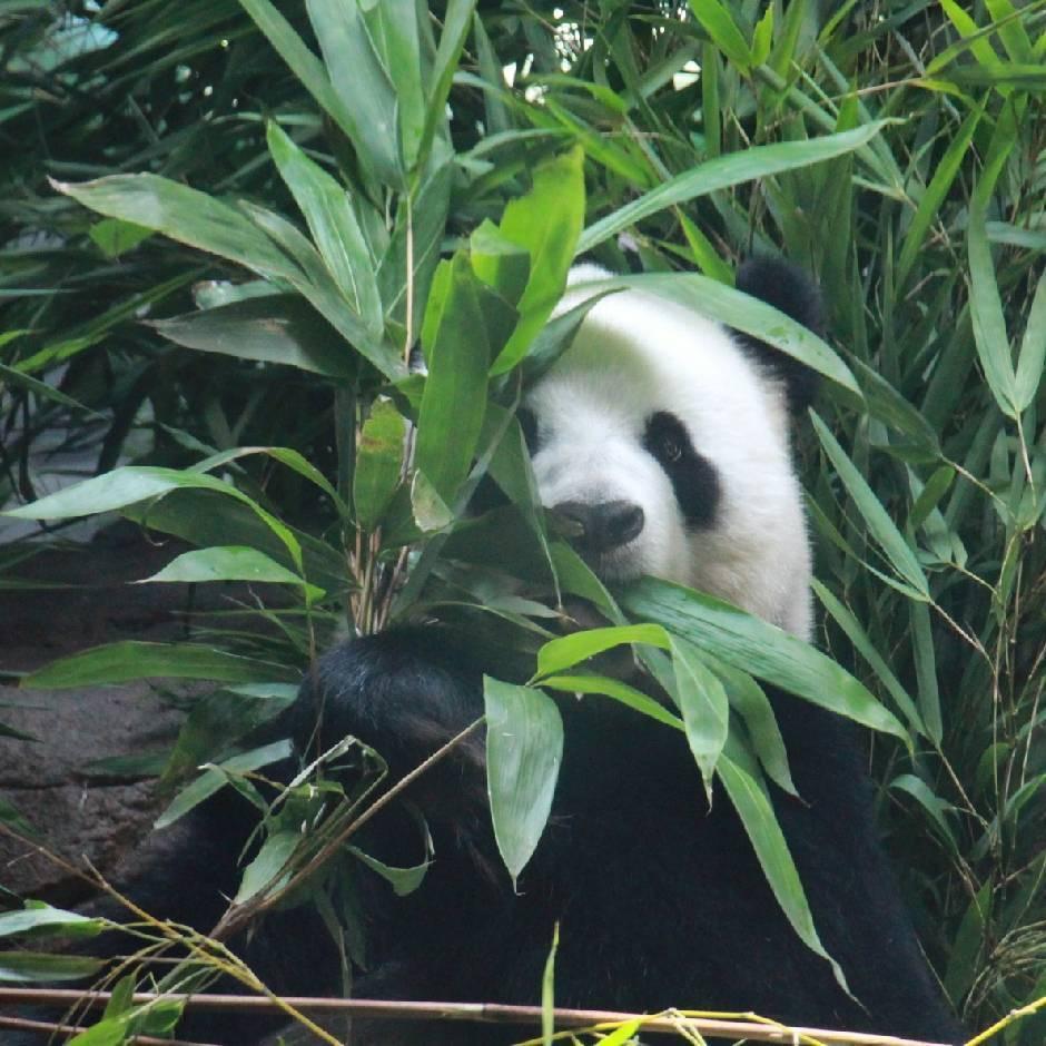 又活了一天，耶