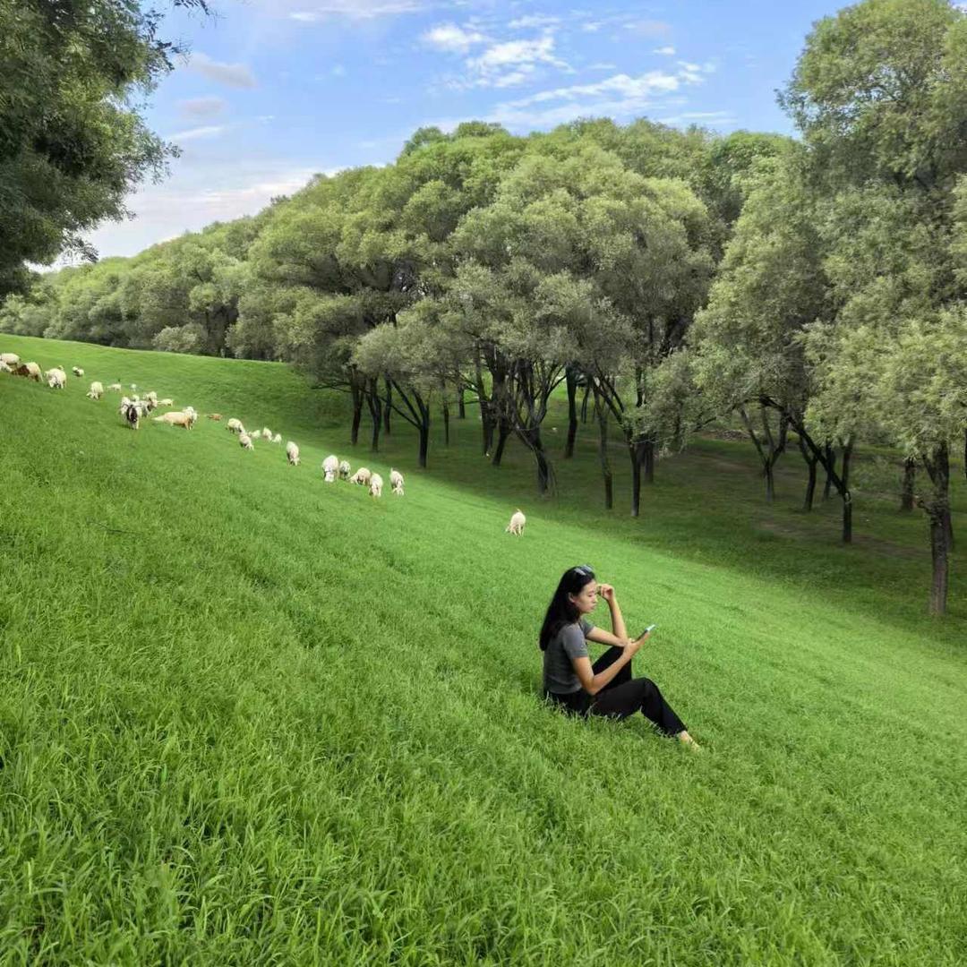 ღ᭄清零🕊꧔ꦿ᭄💞