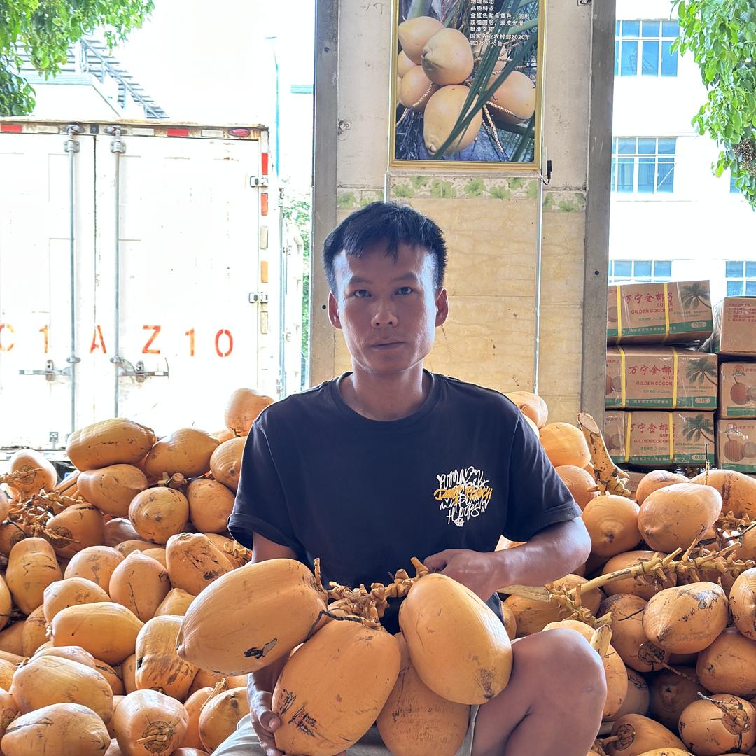 黄金椰子之乡