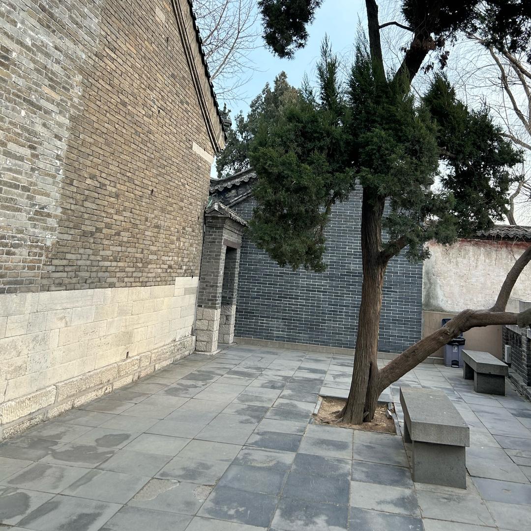 风的榴莲