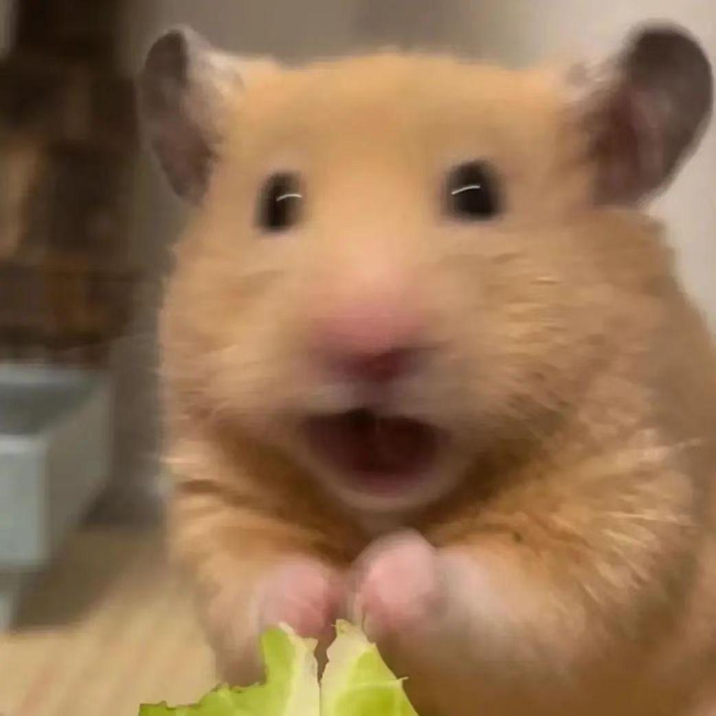 明天见_