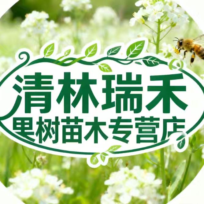 清林瑞禾果树苗木专营店