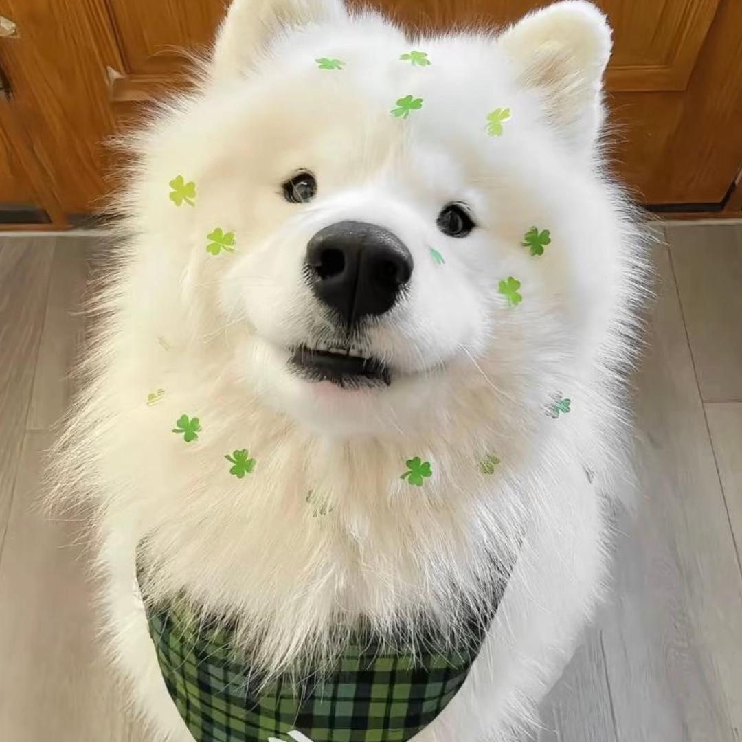 焊机桑为我离家出走的那个冰冷雨夜