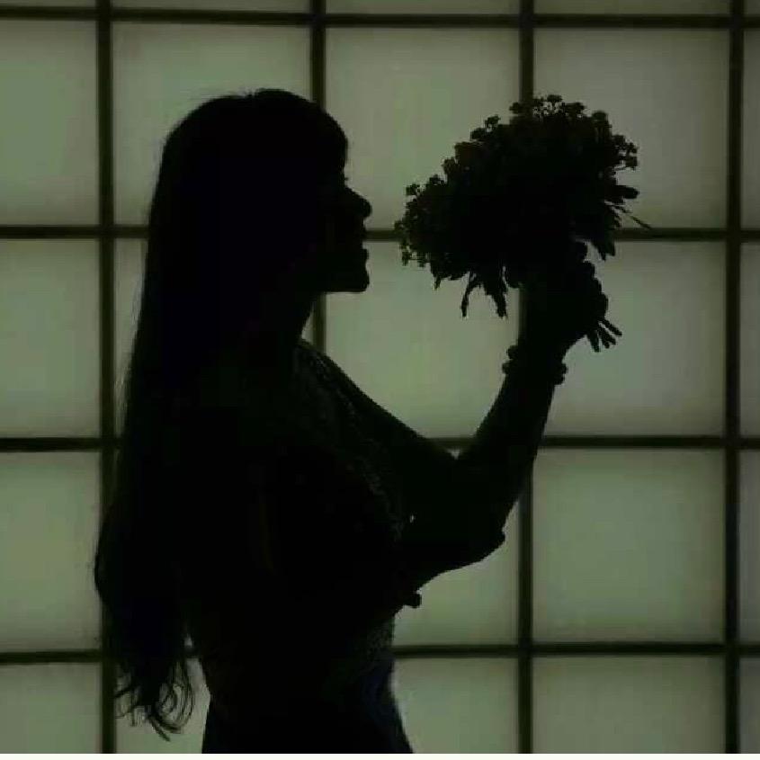 猫猫的宁静小铺