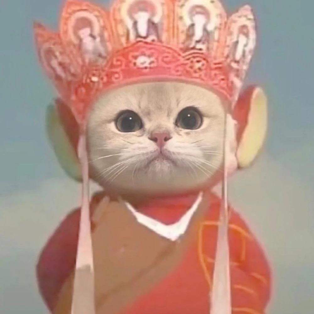 Yololy🏂🏸️🏊🎾🏄