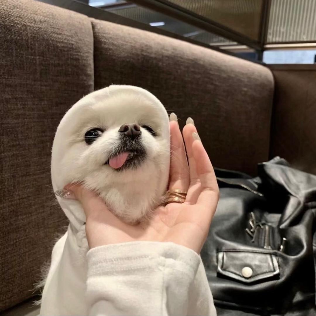 Cc-