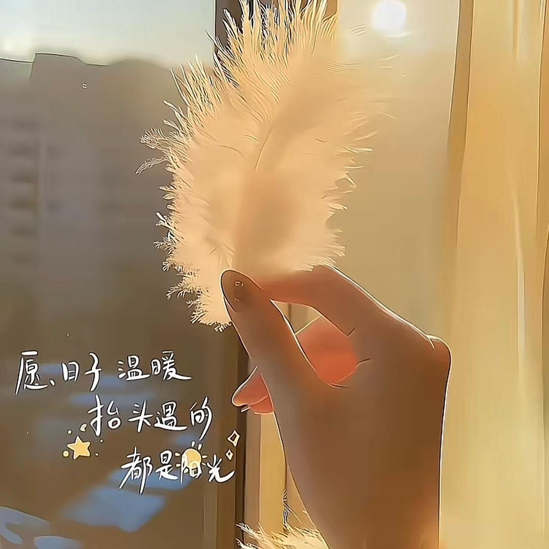 呆呆酱888