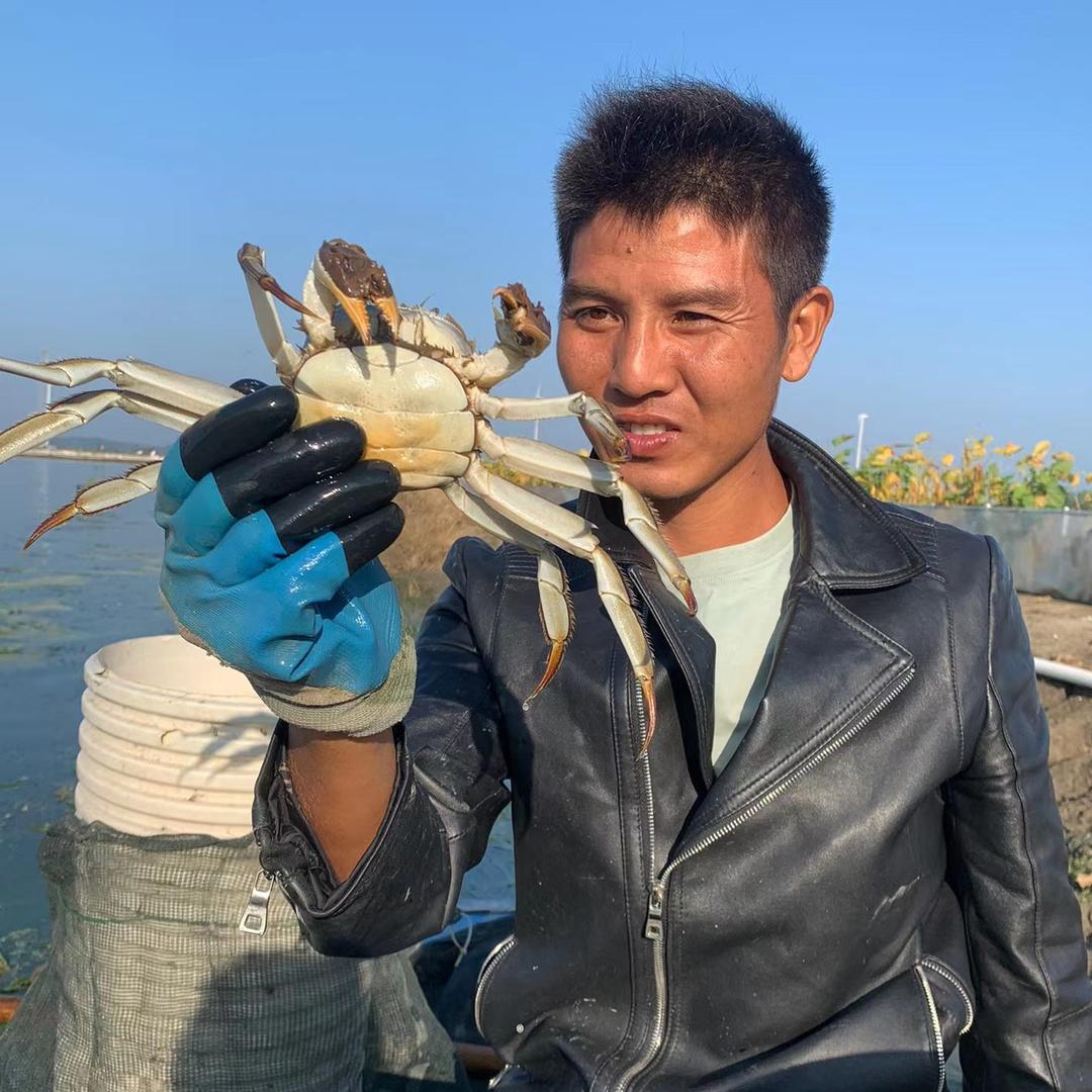 小辉养🦀️螃蟹